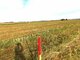 Участок Klaipėdos rajono sav., Dituvoje, Kuršių g. (6 Фотография)