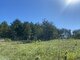 Участок Lazdijų rajono sav., Šadžiūnuose (2 Фотография)