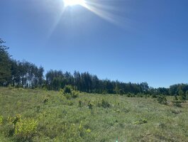 Участок Lazdijų rajono sav., Šadžiūnuose