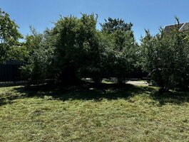 Parduodamas sklypas Klaipėdos rajono sav., Dercekliuose