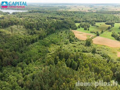 Land for sale Vilniaus rajono sav., Barzdžiūnuose