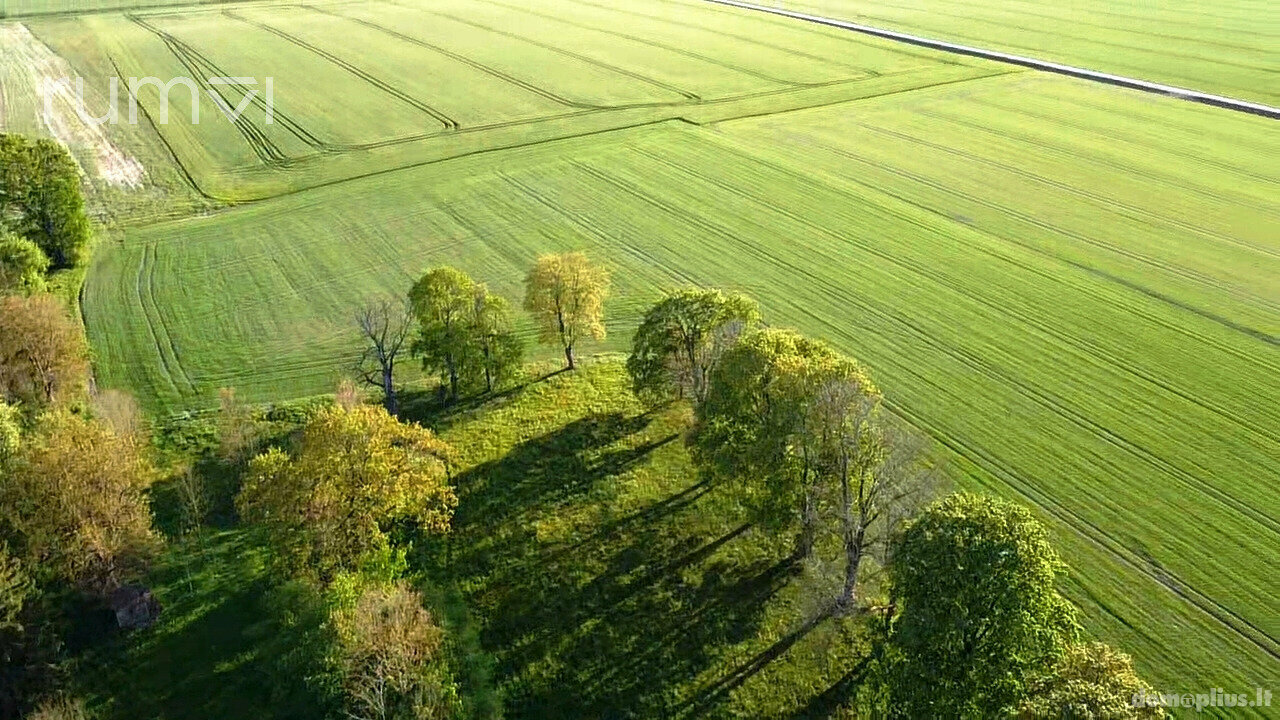 Land for sale Panevėžio rajono sav., Bobiniškiuose