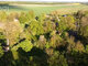 Land for sale Panevėžio rajono sav., Bobiniškiuose (15 picture)