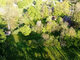 Land for sale Panevėžio rajono sav., Bobiniškiuose (16 picture)
