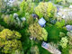 Land for sale Panevėžio rajono sav., Bobiniškiuose (19 picture)