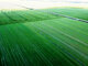 Land for sale Panevėžio rajono sav., Bobiniškiuose (21 picture)