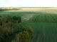 Land for sale Panevėžio rajono sav., Bobiniškiuose (22 picture)