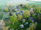Land for sale Panevėžio rajono sav., Bobiniškiuose (23 picture)