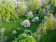 Land for sale Panevėžio rajono sav., Bobiniškiuose (24 picture)