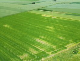 Parduodamas sklypas Pasvalio rajono sav., Nakiškiuose