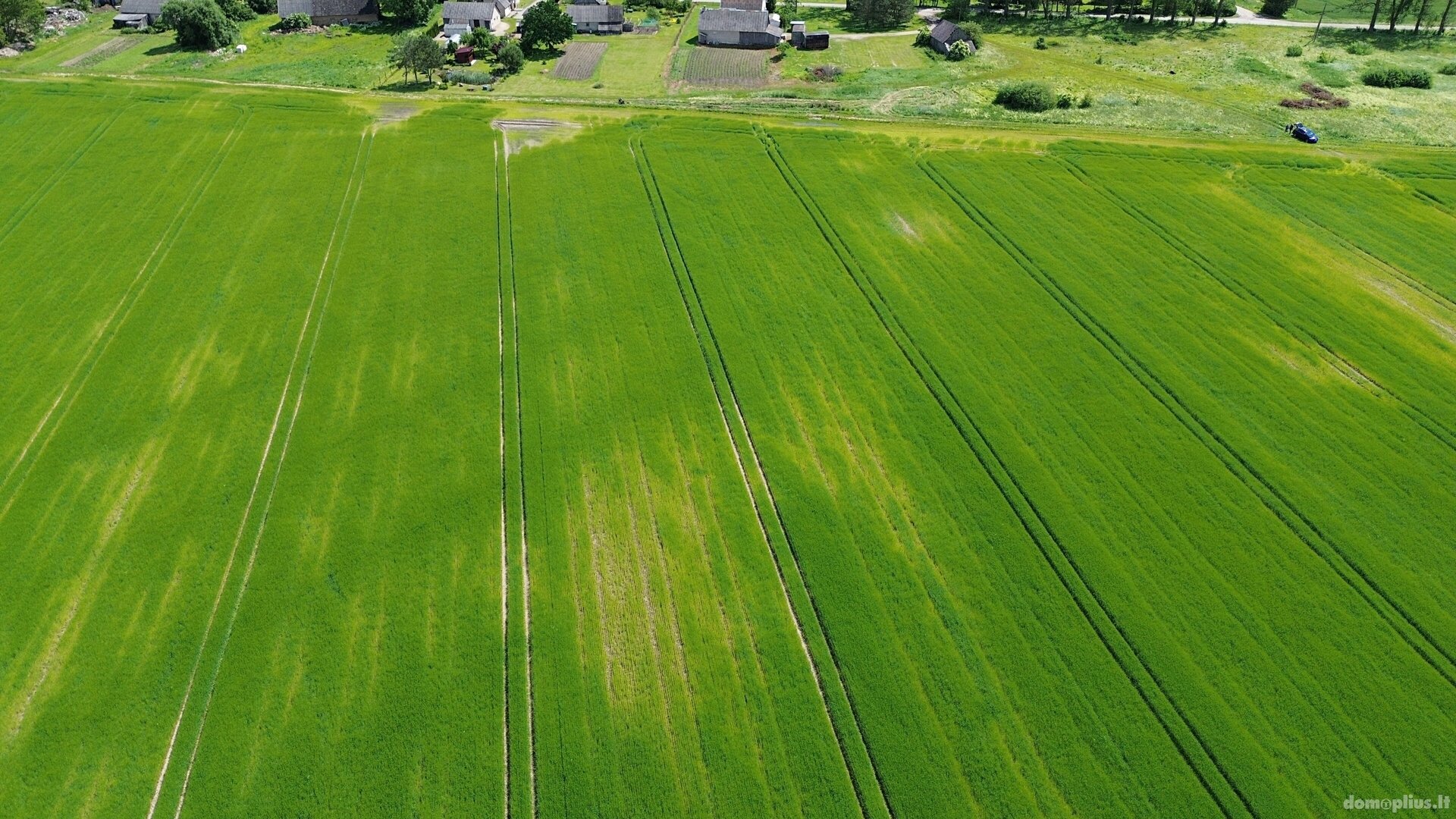 Parduodamas sklypas Pasvalio rajono sav., Nakiškiuose
