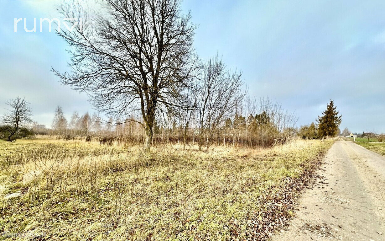 Parduodamas sklypas Biržų rajono sav., Biržuose, Petro Ločerio g.