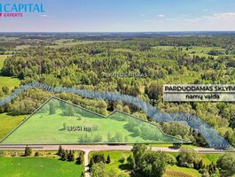 Sklypas Molėtų rajono sav., Antaliežiuose