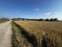 Sklypas Šiaulių rajono sav., Raizgiuose, Sportininkų g.