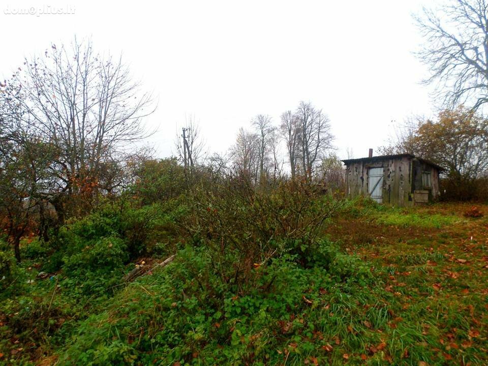 Homestead for sale Rokiškio rajono sav., Ažubalyje