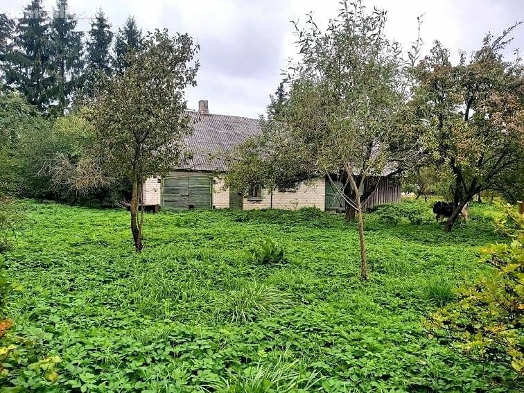 Parduodamas gyvenamasis namas Biržų rajono sav., Germaniškyje, Pušų aklg.