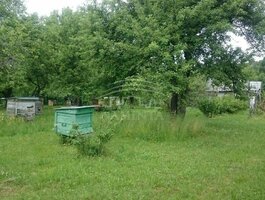 Parduodama sodyba Klaipėdos rajono sav., Pikteikiuose