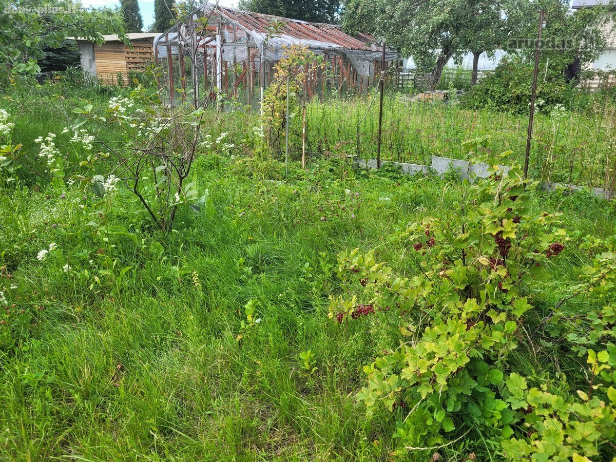 Parduodamas sodo namas Klaipėdos rajono sav., Dercekliuose, Juodkrantės g.