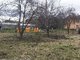 Parduodamas sodo namas Klaipėdos rajono sav., Kiškėnuose (3 nuotrauka)
