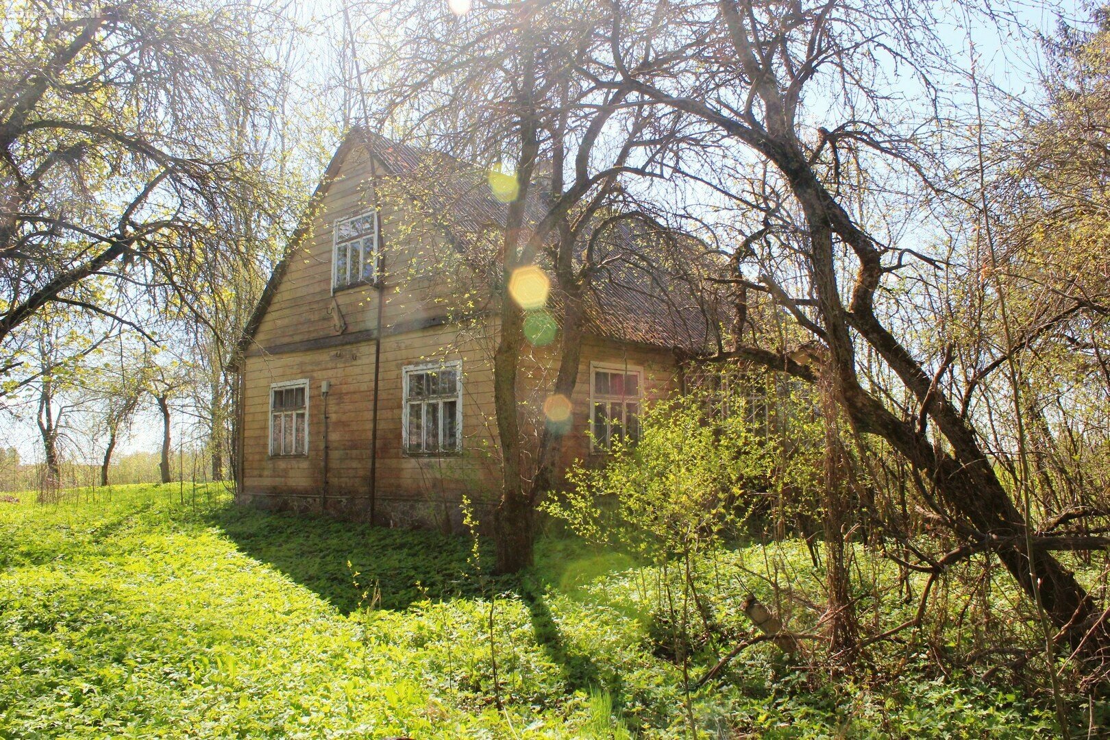 Homestead for sale Kupiškio rajono sav., Kuokiškyje