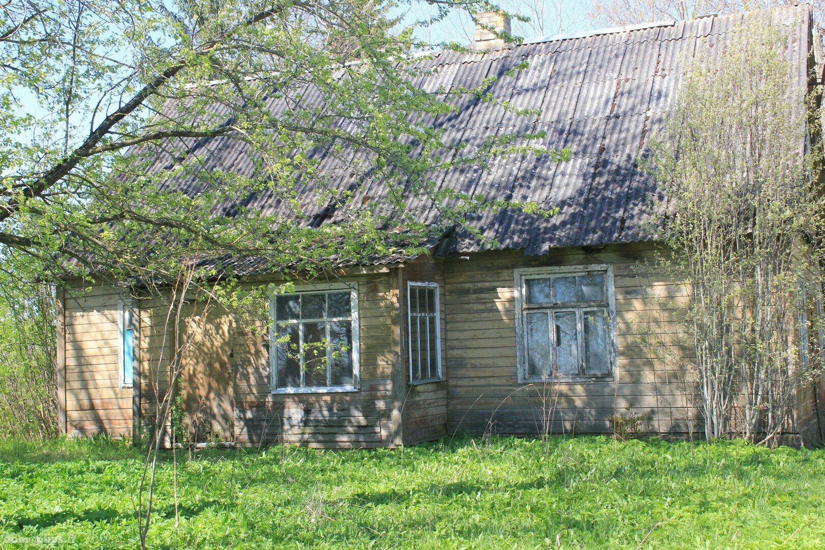 Homestead for sale Kupiškio rajono sav., Kuokiškyje