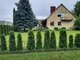 Parduodamas gyvenamasis namas Pasvalio rajono sav., Gulbinėnuose, Alyvų g. (4 nuotrauka)