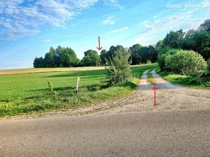 Parduodamas gyvenamasis namas Šalčininkų rajono sav., Apušynėje