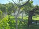 Parduodamas sodo namas Kretingos rajono sav., Kumponuose (7 nuotrauka)