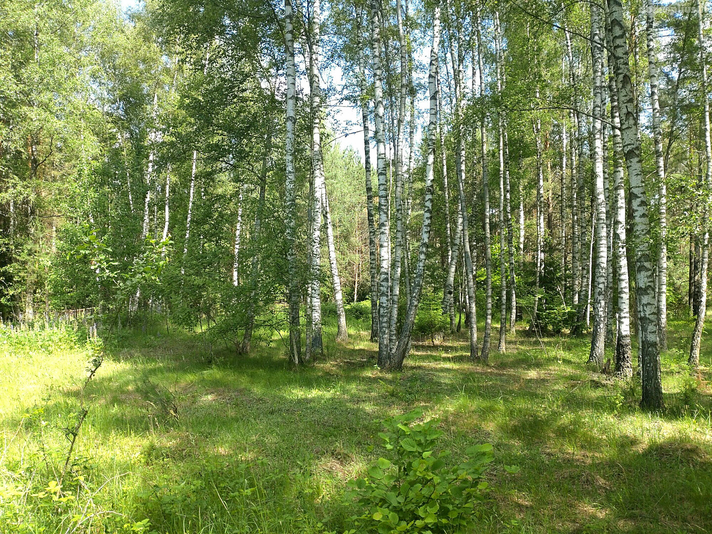 Parduodamas gyvenamasis namas Varėnos rajono sav., Panaroje