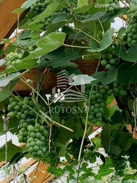 Parduodamas sodo namas Klaipėdos rajono sav., Žiaukos
