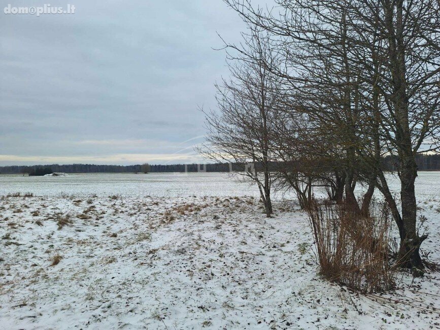 Homestead for sale Klaipėdos rajono sav., Šiuraičiuose