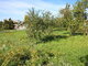 Parduodamas sodo namas Šiaulių rajono sav., Kuršėnuose, Rožių g. (13 nuotrauka)