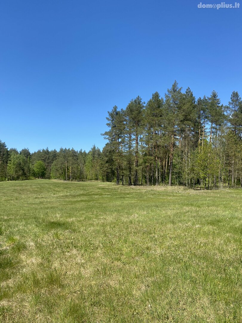 Продаётся дом Alytaus rajono sav., Ryliškiuose, Bažnyčios g.
