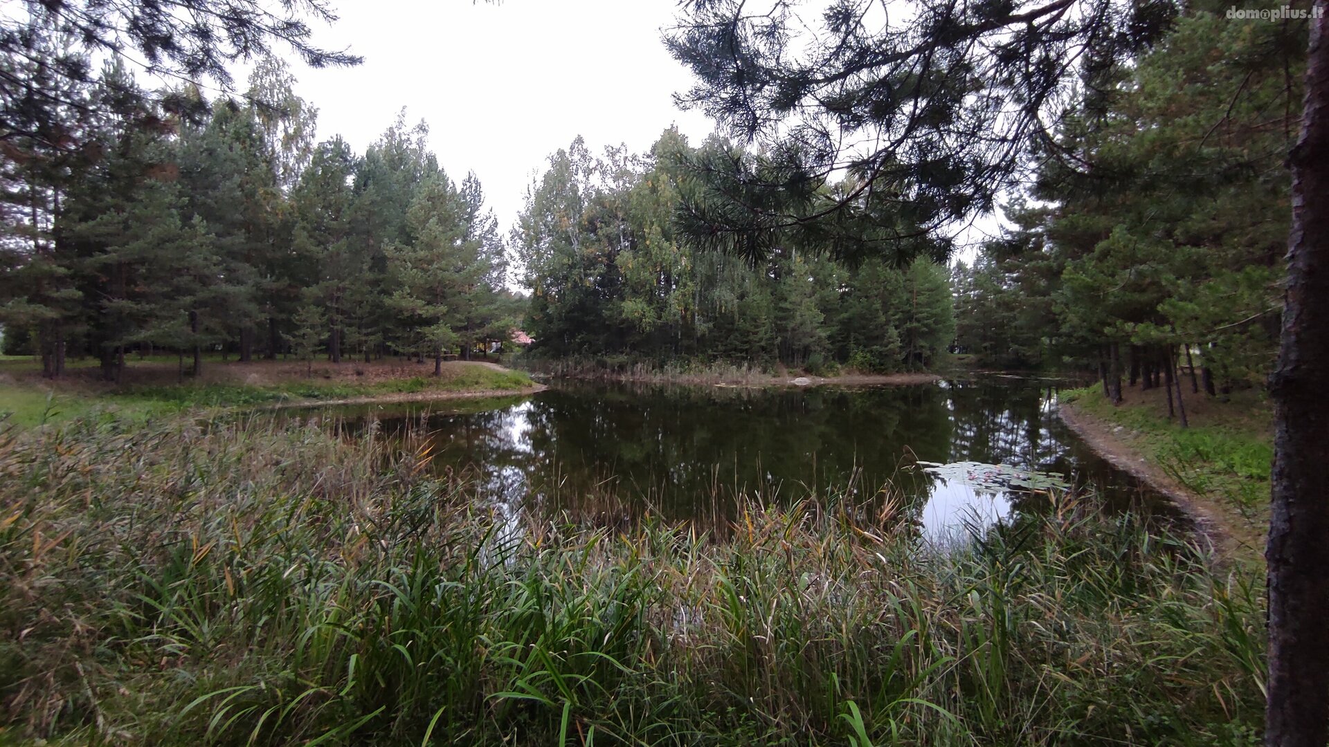 Parduodamas sodo namas Panevėžio rajono sav., Kaubariškyje, Žalioji g.