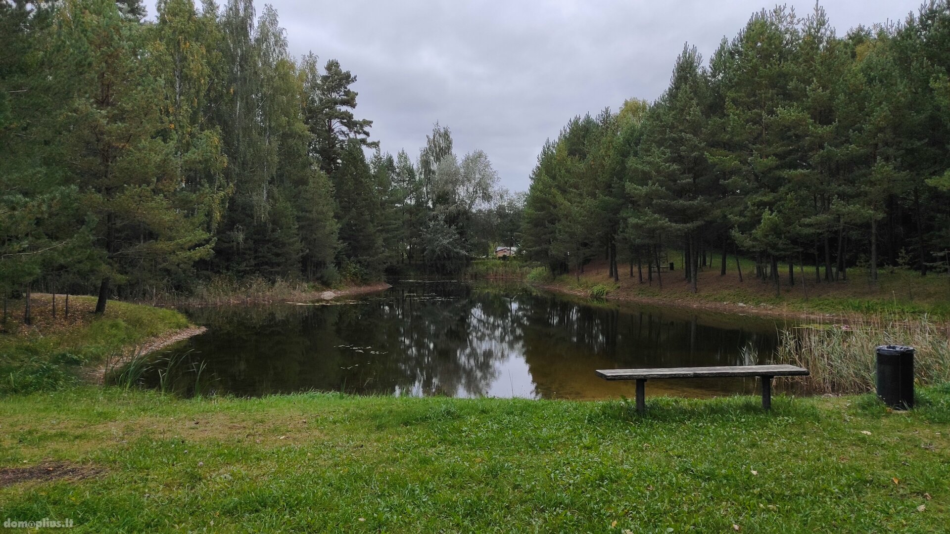 Parduodamas sodo namas Panevėžio rajono sav., Kaubariškyje, Žalioji g.