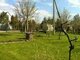 Parduodamas sodo namas Klaipėdos rajono sav., Kiškėnuose (4 nuotrauka)
