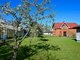 Parduodamas sodo namas Klaipėdos rajono sav., Gručeikiuose (4 nuotrauka)