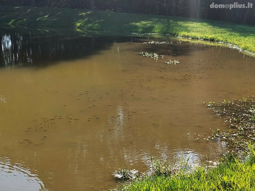 Parduodama sodyba Utenos rajono sav., Šeimyniškiuose