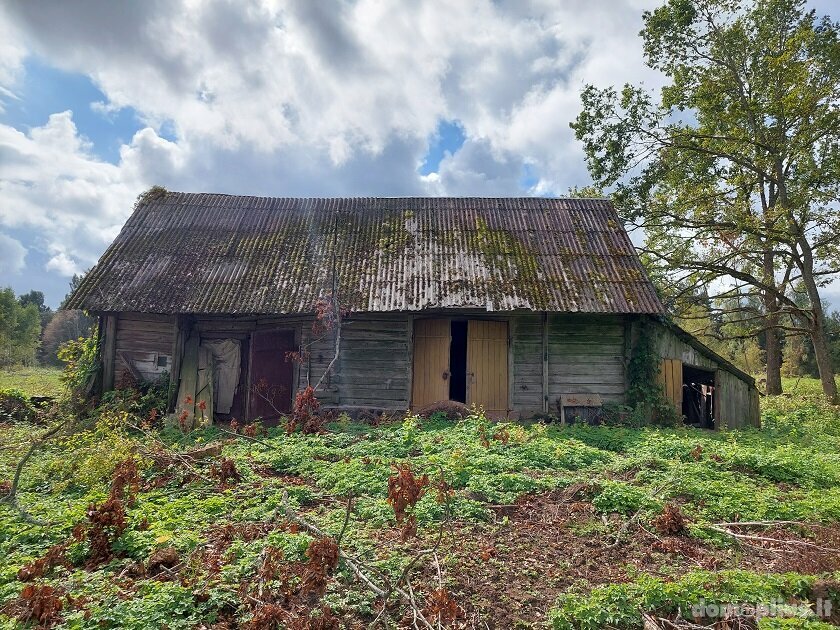 Homestead for sale Rokiškio rajono sav., Rukeliuose