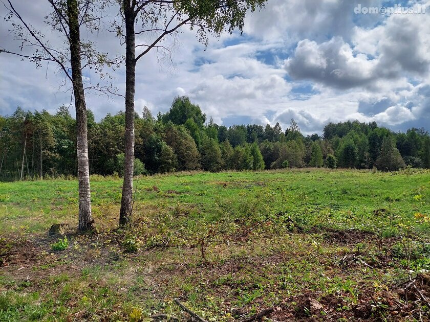 Homestead for sale Rokiškio rajono sav., Rukeliuose