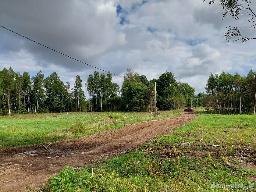 Parduodama sodyba Rokiškio rajono sav., Rukeliuose