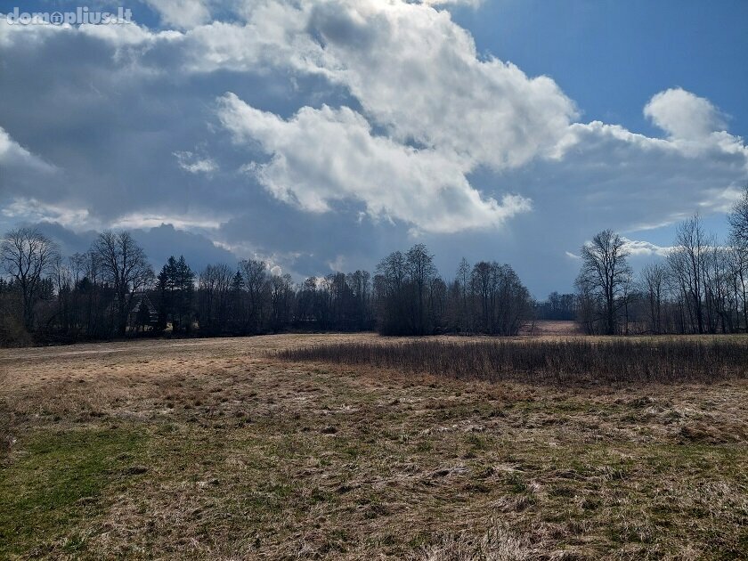 Homestead for sale Rokiškio rajono sav., Panemunyje, Monikos Bičiūnienės g.