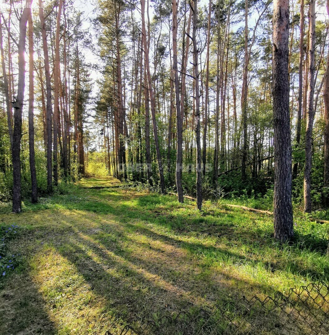 Parduodamas gyvenamasis namas Druskininkų sav., Jaskonyse