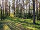Parduodamas gyvenamasis namas Druskininkų sav., Jaskonyse (19 nuotrauka)