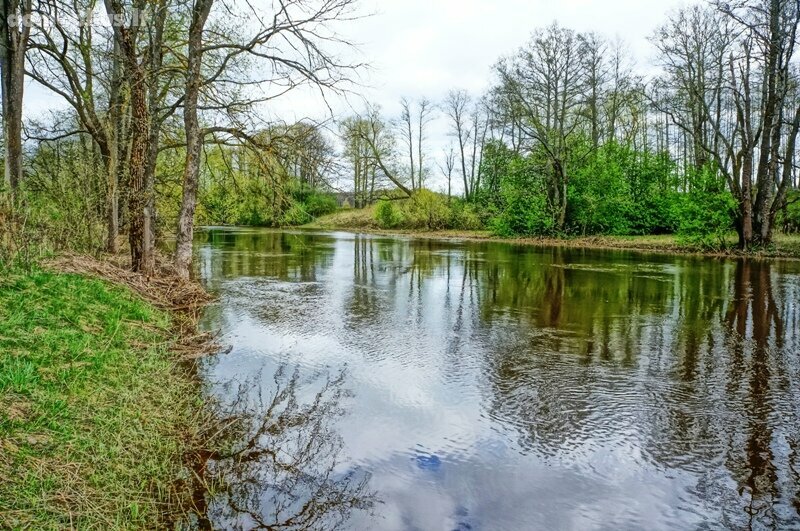 Homestead for sale Ignalinos rajono sav., Didžiasalyje, Didžiasalio g.