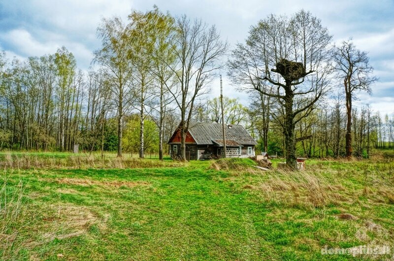 Homestead for sale Ignalinos rajono sav., Didžiasalyje, Didžiasalio g.