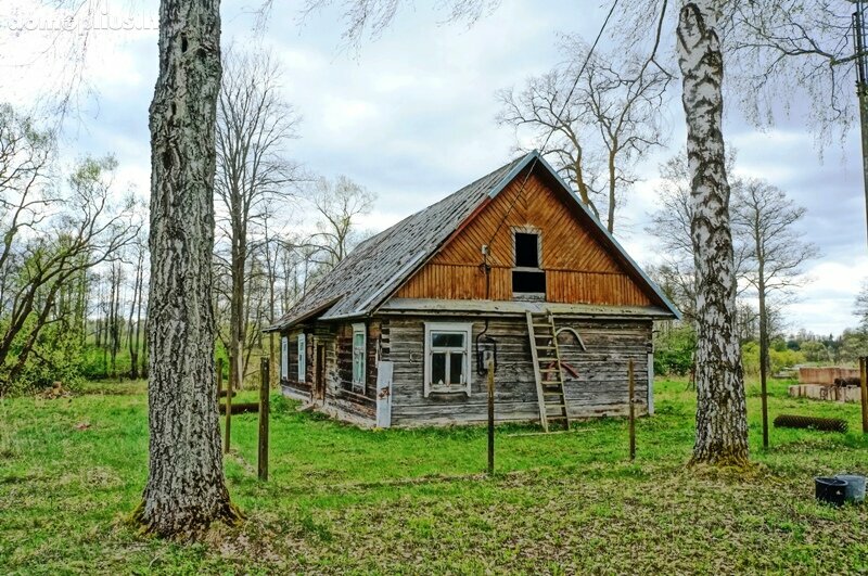 Homestead for sale Ignalinos rajono sav., Didžiasalyje, Didžiasalio g.