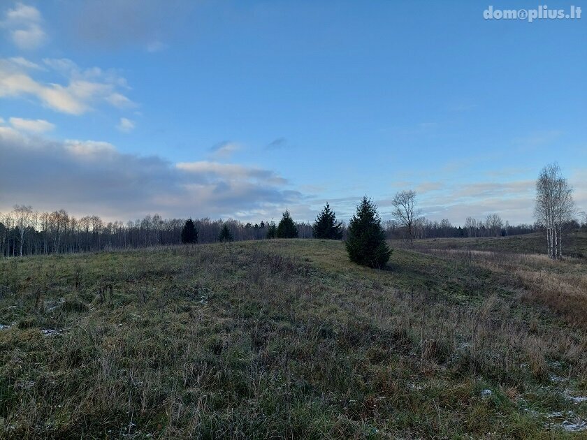 Homestead for sale Zarasų rajono sav., Pašilėje