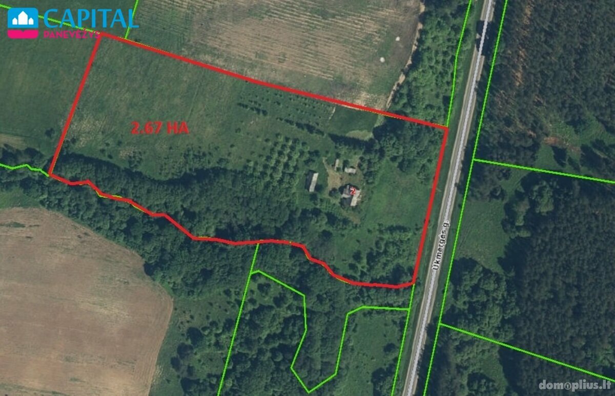Parduodamas gyvenamasis namas Anykščių rajono sav., Domeikiuose