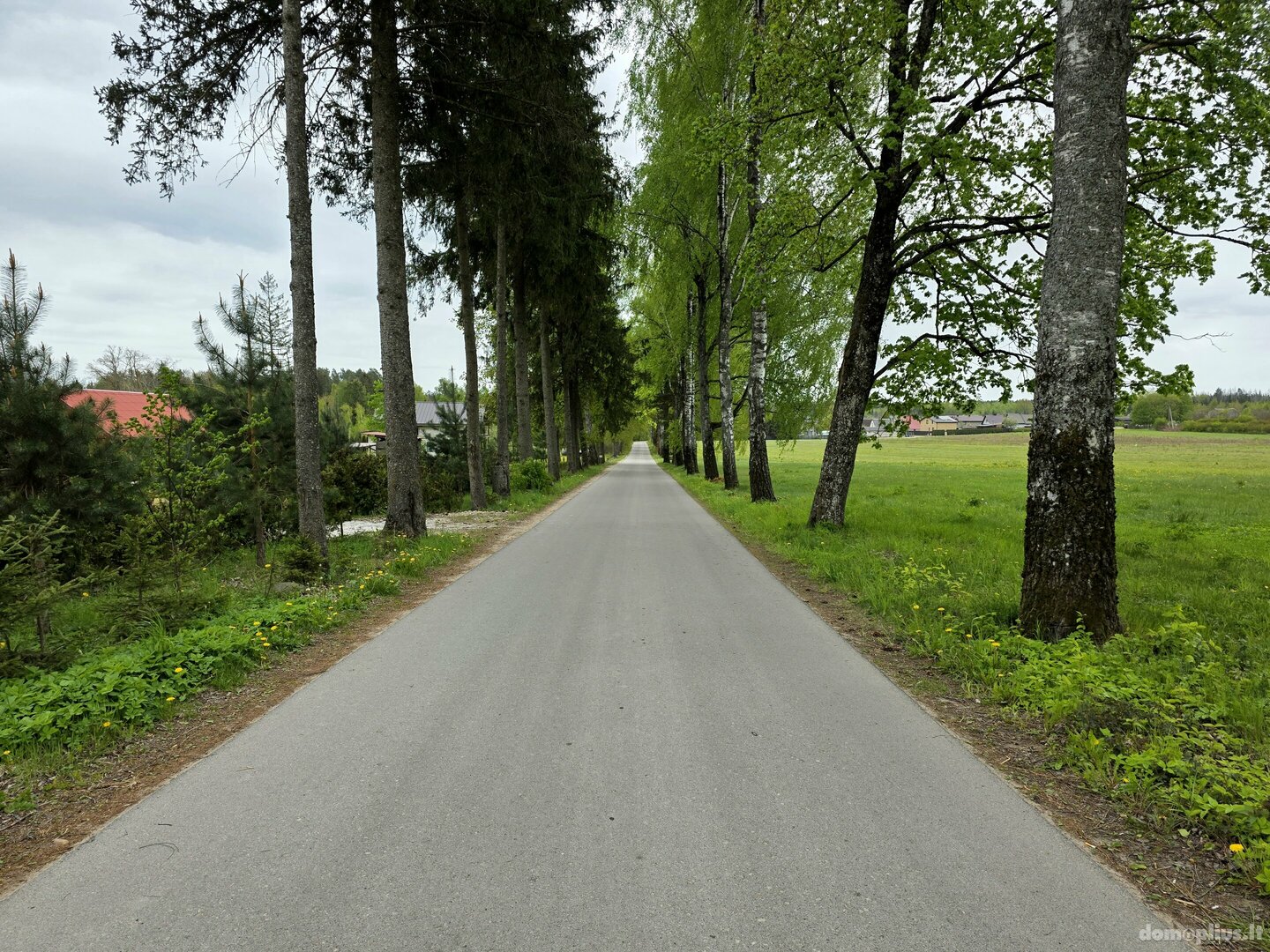 Parduodamas kita Vilniaus rajono sav., Kalveliuose, Paparčių g.
